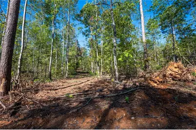 3793 Hwy 140 NE, Rydal, GA 30171 - Photo 10