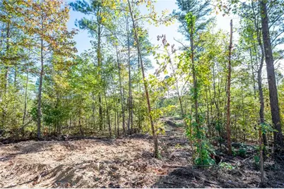 3793 Hwy 140 NE, Rydal, GA 30171 - Photo 12