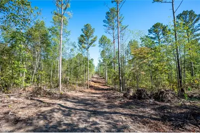 3793 Hwy 140 NE, Rydal, GA 30171 - Photo 8