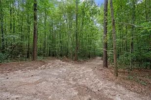 1828 Roosterville Rd, Roopville, GA 30170 - Photo 46