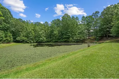 1828 Roosterville Road, Roopville, GA 30170 - Photo 38