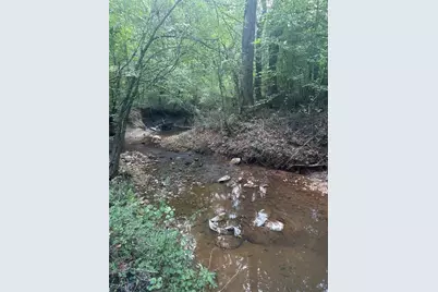 1828 Roosterville Road, Roopville, GA 30170 - Photo 50