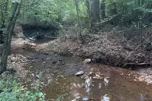 1828 Roosterville Rd, Roopville, GA 30170 - Photo 50