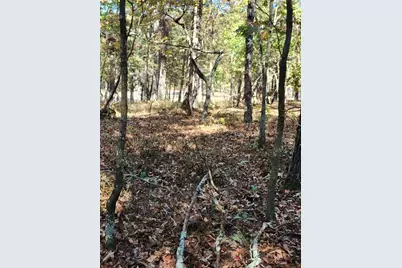 00 Pine Ridge Road, White, GA 30184 - Photo 2