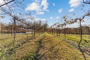 353 Spring Rdg Path, Dallas, GA 30132 - Photo 62