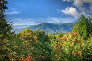 113 Deer Hunter Trail, Blue Ridge, GA 30513 - Photo 22