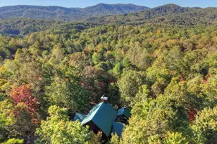 113 Deer Hunter Trail, Blue Ridge, GA 30513 - Photo 48