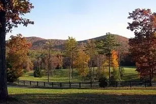 686 Laurel Hill Ln, Ellijay, GA 30536 - Photo 64