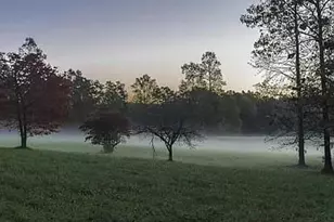 686 Laurel Hill Ln, Ellijay, GA 30536 - Photo 68