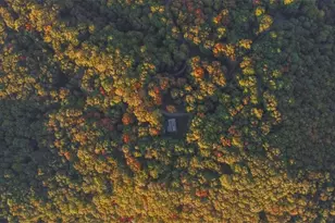 686 Laurel Hill Ln, Ellijay, GA 30536 - Photo 40