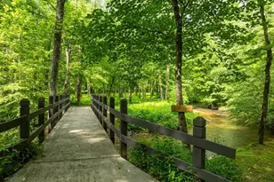 686 Laurel Hill Ln, Ellijay, GA 30536 - Photo 56