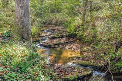 158 Elliott Court, Dawsonville, GA 30534 - Photo 20