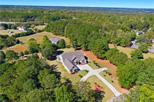 100 Marshas Vineyard, Hampton, GA 30228 - Photo 66