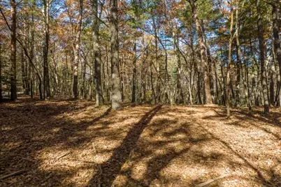 Tr 1 Old Anderson Creek, Ellijay, GA 30536 - Photo 6