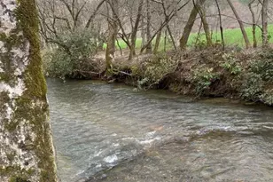 174 Lost Valley Rd, Mineral Bluff, GA 30559 - Photo 26