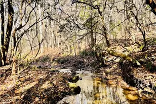 2197 Damascus Rd, Ball Ground, GA 30107 - Photo 8