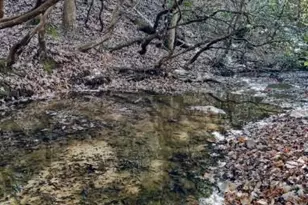 2197 Damascus Rd, Ball Ground, GA 30107 - Photo 6