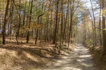 Tr 2 Old Anderson Creek, Ellijay, GA 30536 - Photo 4