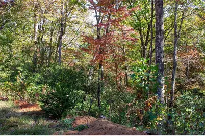 195 Laurel Hill Lane, Ellijay, GA 30536 - Photo 14