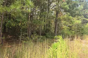 188 Belford Way, Jackson, GA 30233 - Photo 1