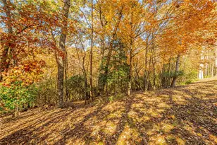 64 Highview Ln, Dahlonega, GA 30533 - Photo 92