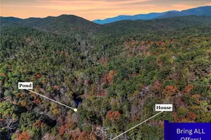 824 Conasauga Rd, Ellijay, GA 30540 - Photo 2