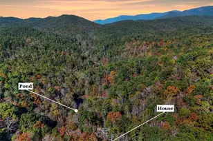 824 Conasauga Rd, Ellijay, GA 30540 - Photo 4