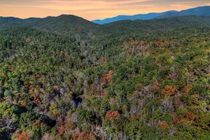 824 Conasauga Rd, Ellijay, GA 30540 - Photo 48