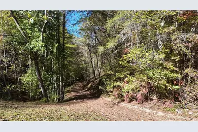 824 Conasauga Road, Ellijay, GA 30540 - Photo 12