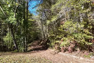 824 Conasauga Rd, Ellijay, GA 30540 - Photo 12