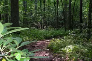 116 Cherokee Cv, Waleska, GA 30183 - Photo 36