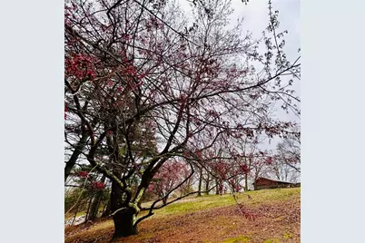 1509 High Point Road, Bowdon, GA 30108 - Photo 68