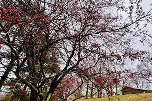 1509 High Point Rd, Bowdon, GA 30108 - Photo 68