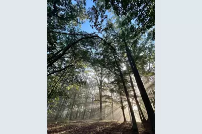 1509 High Point Road, Bowdon, GA 30108 - Photo 74