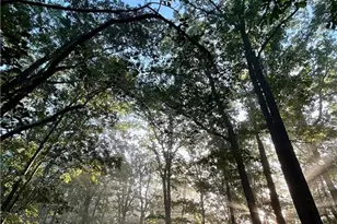 1509 High Point Rd, Bowdon, GA 30108 - Photo 74