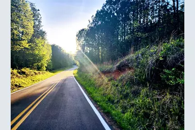 0 Carver Mill Road, Talking Rock, GA 30175 - Photo 1