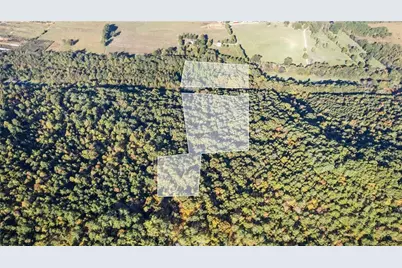 0 Mill Road, Cave Spring, GA 30124 - Photo 4