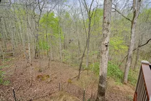 2232 Burnt Mountain Rd, Jasper, GA 30143 - Photo 42