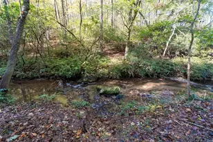 128 Young Deer Dr, Dahlonega, GA 30533 - Photo 28