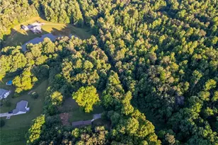 222 N Mize Rd, Mount Airy, GA 30563 - Photo 50