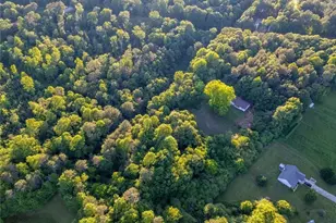 222 N Mize Rd, Mount Airy, GA 30563 - Photo 54