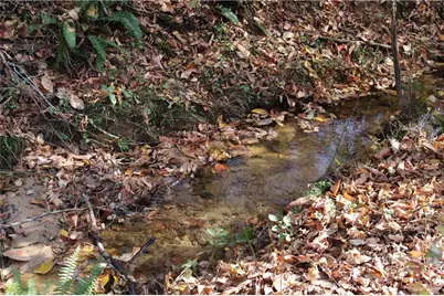 4380 Rockrose Green Way, Gainesville, GA 30504 - Photo 44