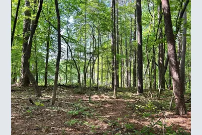 5219 Union Hill Road, Alpharetta, GA 30004 - Photo 10