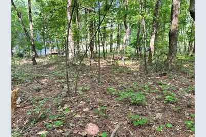 5219 Union Hill Road, Alpharetta, GA 30004 - Photo 14