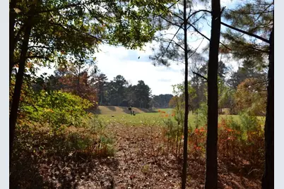 1007 Sycamore Lane, Villa Rica, GA 30180 - Photo 14