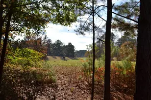 1007 Sycamore Ln, Villa Rica, GA 30180 - Photo 14