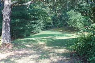 99 Indian Cove Dr, Dawsonville, GA 30534 - Photo 6