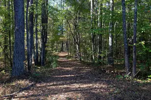 196 Pope Pl, Dallas, GA 30157 - Photo 30