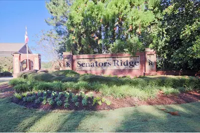 107 Dupont Court, Dallas, GA 30132 - Photo 66