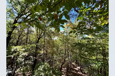 174 Sassafras Mountain Trail, Jasper, GA 30143 - Photo 20